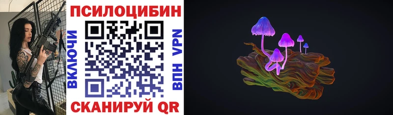 Псилоцибиновые грибы Cubensis  сколько стоит  Кострома 